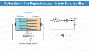 Reduction in the Depletion Layer due to Forward Bias