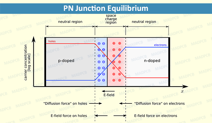 PN Junction Equilibrium